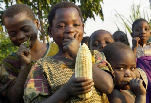 Post image for Malawi’s Homegrown Miracle