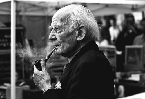 Post image for Bauman: consumerism coming home to roost