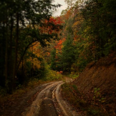 Hope of a sustainable future in West Virginia's coal country | ROAR ...