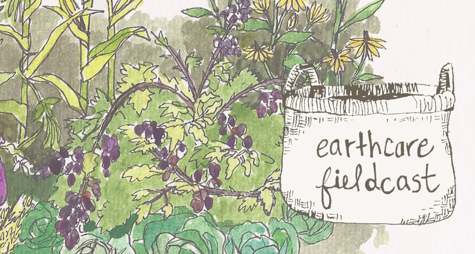 Earthcare Fieldcast: Antiracist & feminist social syndicalism